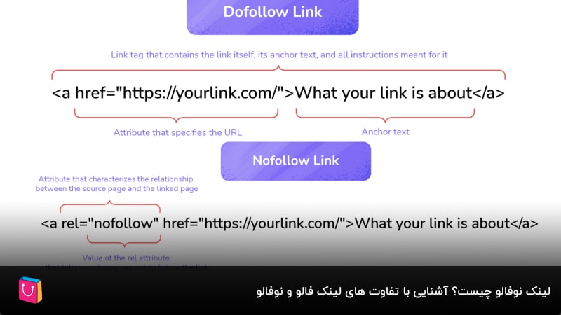 لینک نوفالو چیست و چرا باید آن را جدی بگیرید؟