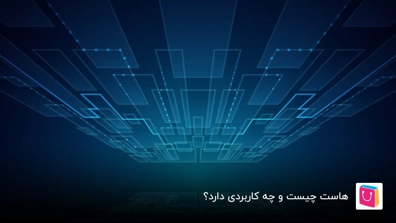 هاست چیست و هنگام خرید آن به چه نکاتی باید دقت کنیم؟